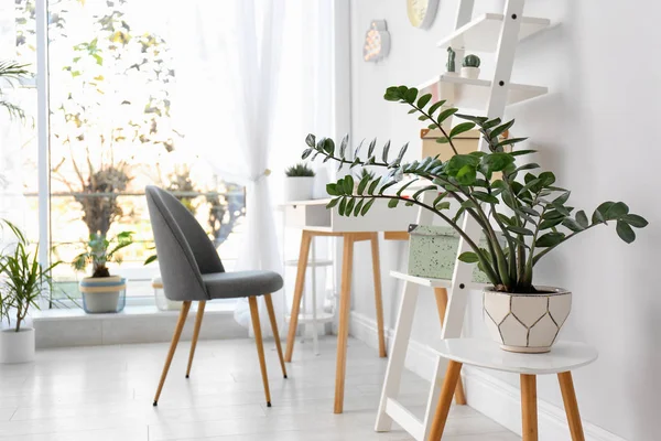 Intérieur Élégant Chambre Avec Belles Plantes Idée Design Maison — Photo