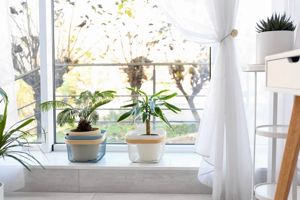 Intérieur Élégant Chambre Avec Belles Plantes Idée Design Maison — Photo