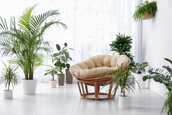 Intérieur Élégant Chambre Avec Belles Plantes Idée Design Maison — Photo