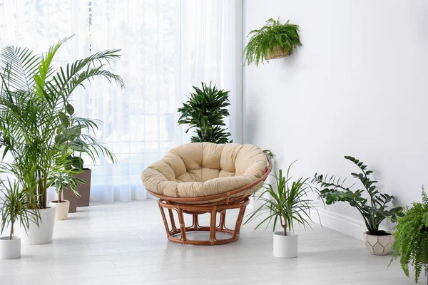 Intérieur Élégant Chambre Avec Belles Plantes Idée Design Maison — Photo