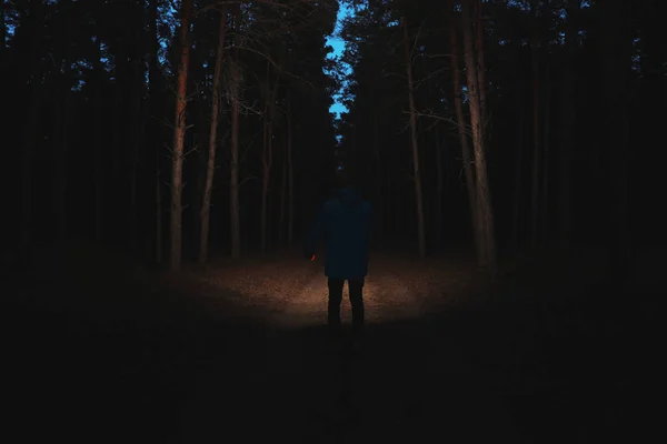 Людина Яскравим Ліхтариком Лісі Вночі — стокове фото