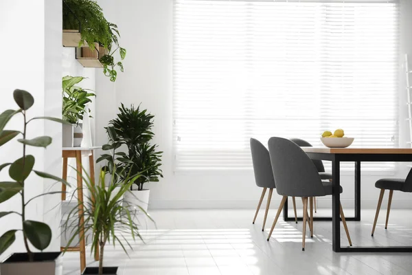 Interior Elegante Quarto Com Plantas Verdes Decoração Casa — Fotografia de Stock