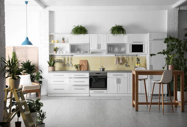风格别致的厨房内部用绿色植物 家庭装修 — 图库照片