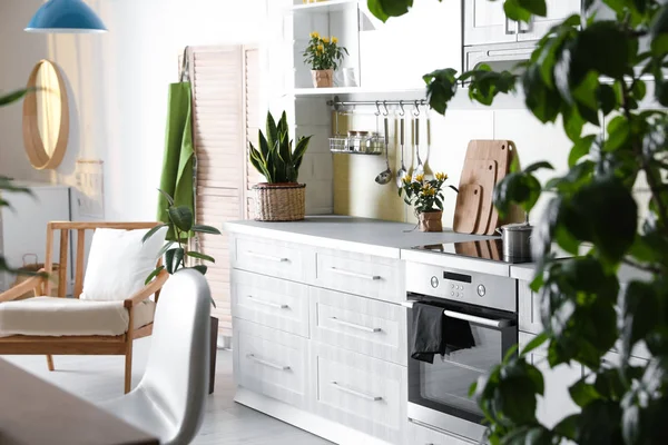 Elegante Interior Cocina Con Plantas Verdes Decoración Del Hogar — Foto de Stock