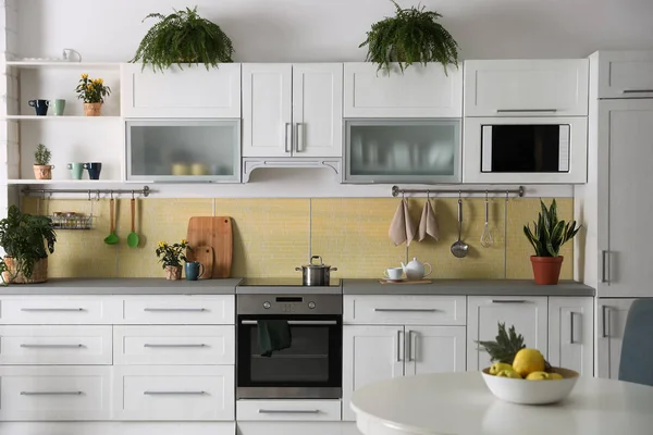 Interior Cozinha Elegante Com Plantas Verdes Decoração Casa — Fotografia de Stock