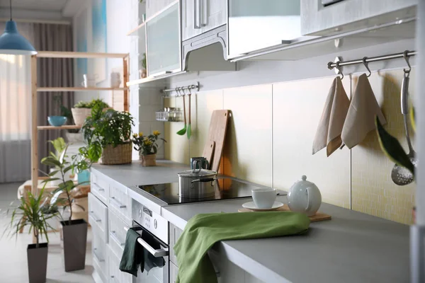 Stijlvol Keukeninterieur Met Groene Planten Huisdecoratie — Stockfoto