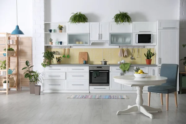 Elegante Interior Cocina Con Plantas Verdes Decoración Del Hogar — Foto de Stock