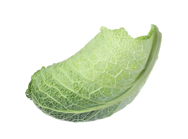 Свежий савойский лист капусты, изолированный на белом — стоковое фото