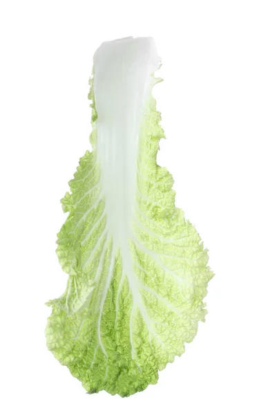 Свежий китайский лист капусты, изолированный на белом — стоковое фото