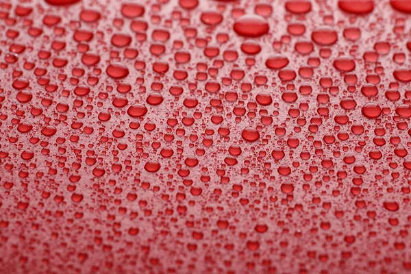 Vatten Droppar Röd Bakgrund Närbild — Stockfoto
