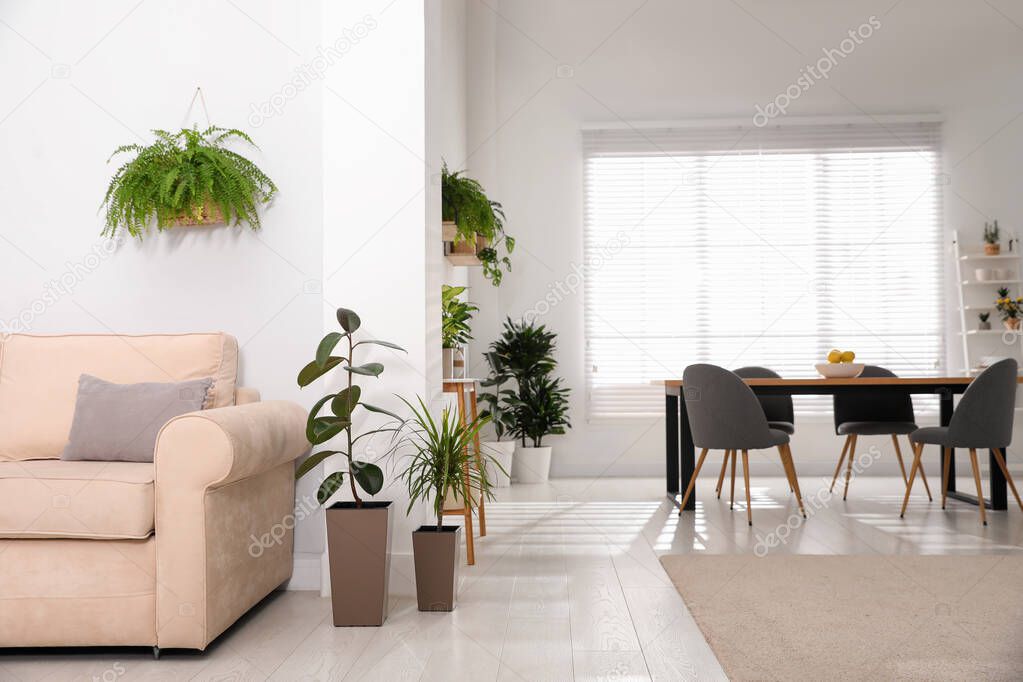 Stylish room interior with green plants. Home decoration
