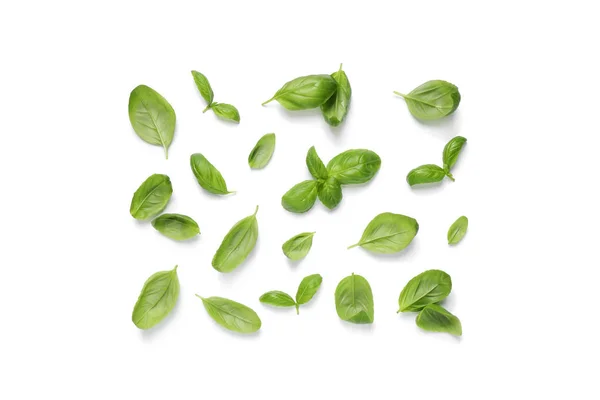 Fresh Green Basil Leaves White Background Top View — Stock Photo, Image