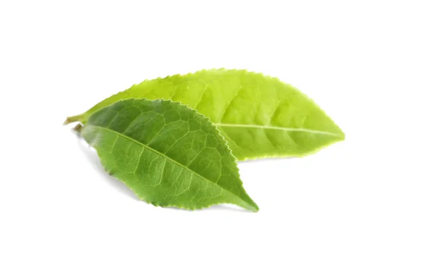 Färska gröna teblad isolerade på vitt — Stockfoto