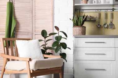 Yeşil bitkilerle donatılmış şık bir mutfak. Ev dekorasyonu