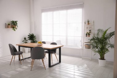 Yeşil bitkilerle dolu şık bir oda. Ev dekorasyonu