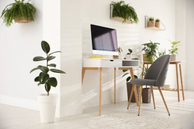 Yeşil saksı bitkileriyle dekore edilmiş modern bir iş yeri. Ev tasarımı