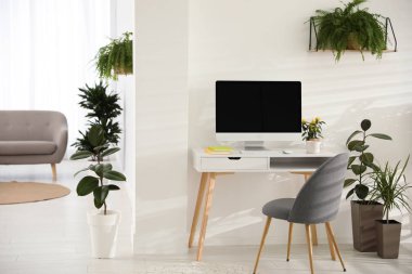 Yeşil saksı bitkileriyle dekore edilmiş modern bir iş yeri. Ev tasarımı