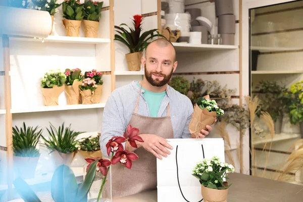 Floristería Poniendo Hermosa Planta Maceta Bolsa Papel Tienda — Foto de Stock