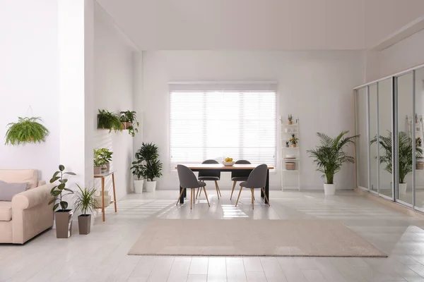 Ruangan Interior Bergaya Dengan Tanaman Hijau Dekorasi Rumah — Stok Foto