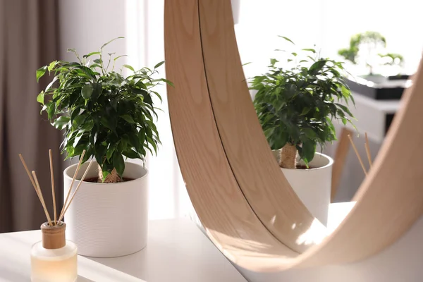 Belle Plante Pot Pr&egrave;s Miroir Dans Chambre D&eacute;coration Maison &mdash; Photo