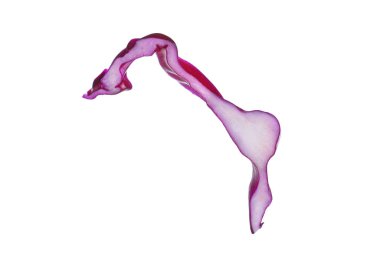 Beyaz üzerinde taze kırmızı lahana kes.