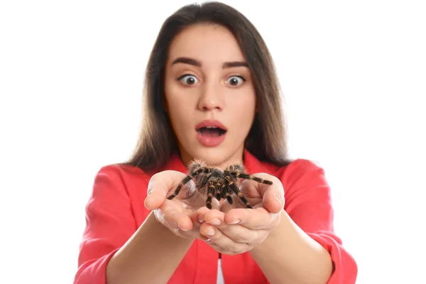 Vystrašená Mladá Žena Tarantulou Bílém Pozadí Arachnofobie Strach Pavouků — Stock fotografie
