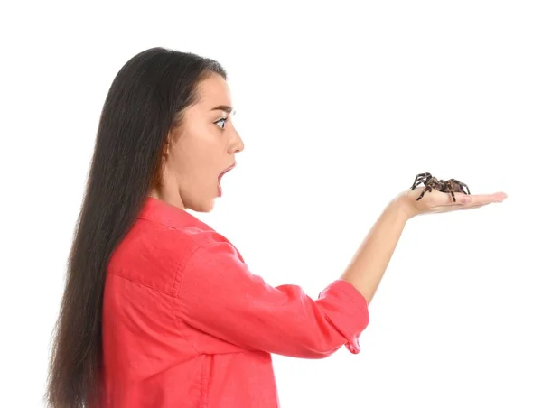 Mujer Joven Asustada Con Tarántula Sobre Fondo Blanco Aracnofobia Miedo —  Fotos de Stock