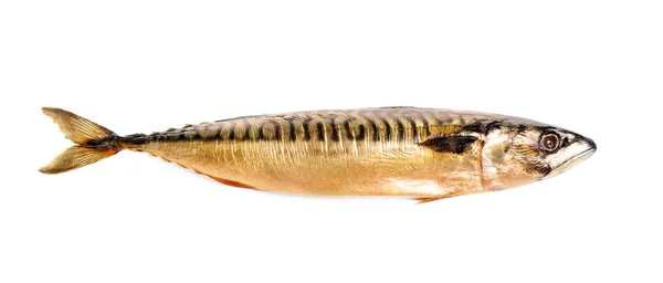 Schmackhafter geräucherter Makrelenfisch isoliert auf weißem Grund, von oben — Stockfoto