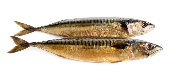 Chutné uzené makrely izolované na bílém, pohled shora — Stock fotografie