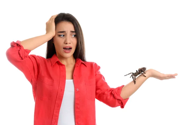 Uma Jovem Assustada Com Tarântula Fundo Branco Aracnofobia Medo Aranhas — Fotografia de Stock