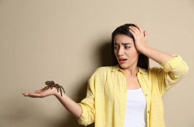 Bej arka planda tarantula tutan korkmuş genç bir kadın. Araknofobi (örümcek korkusu))