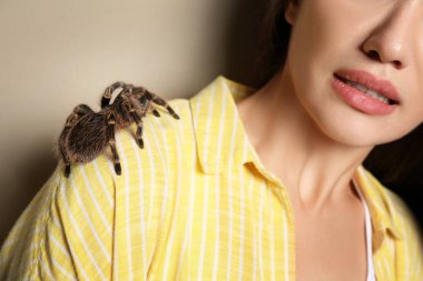 Bej arka planda tarantulası olan korkmuş genç bir kadın, yakın plan. Araknofobi (örümcek korkusu))