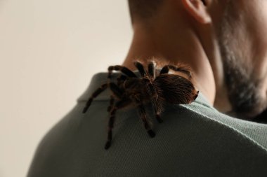 Bej arka planda çizgili tarantulası olan adam, yakın plan.