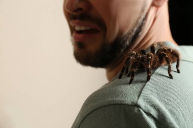 Bej arka planda tarantula olan korkmuş bir adam, yakın plan. Araknofobi (örümcek korkusu))