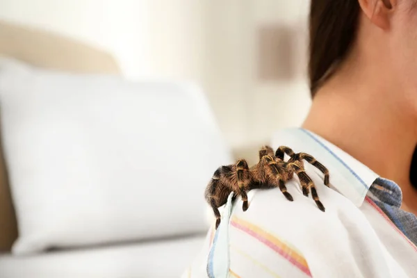 Mujer Joven Con Tarántula Rayas Hombro Casa Primer Plano Espacio — Foto de Stock