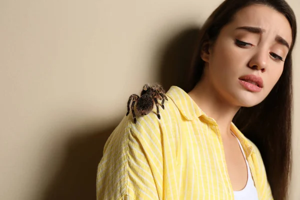 Vystrašená Mladá Žena Tarantulou Béžovém Pozadí Arachnofobie Strach Pavouků — Stock fotografie