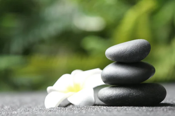 Stones Plumeria Flower Black Sand Blurred Background Zen Concept — Stock Photo, Image