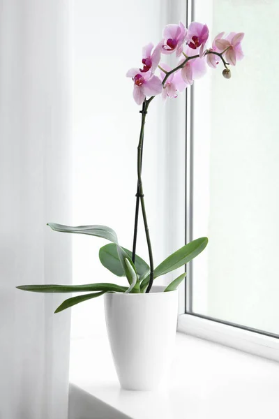 Krásná Květináč Phalaenopsis Orchidej Parapetu Uvnitř — Stock fotografie
