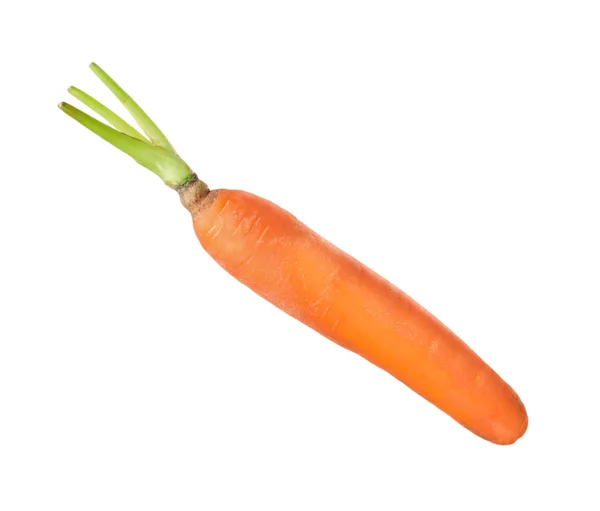 Świeża dojrzała, soczysta marchewka wyizolowana na białym — Zdjęcie stockowe