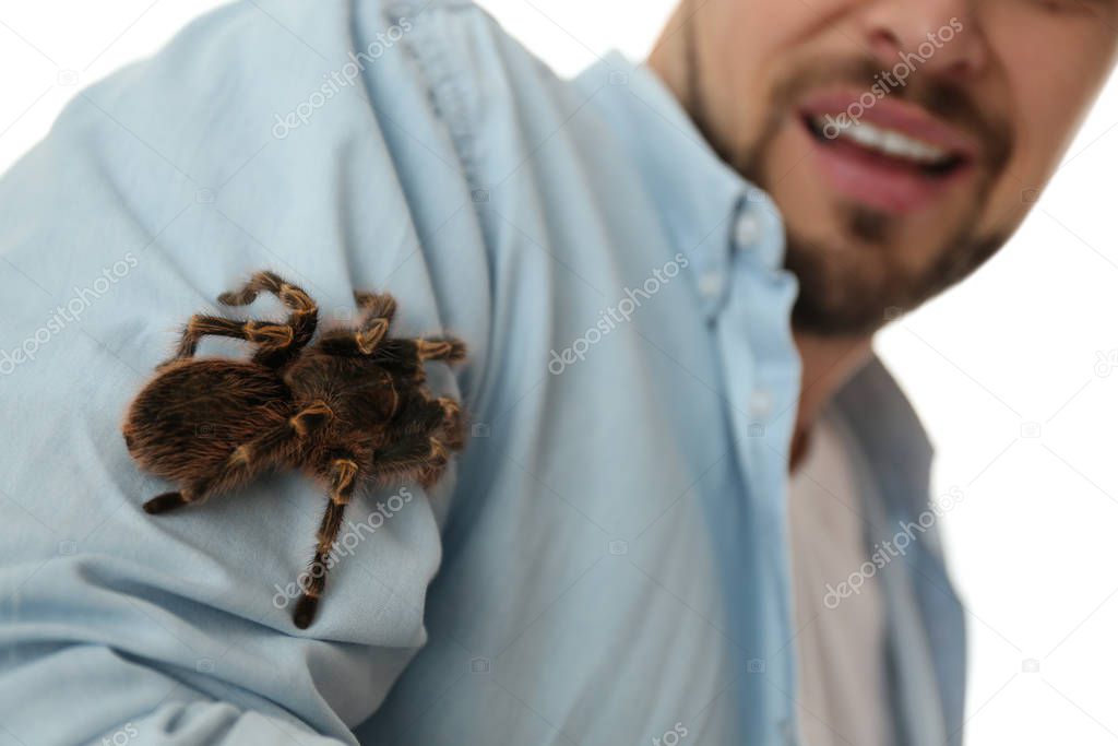 Man with tarantula at home, closeup. Arachnophobia (fear of spiders)