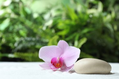 Kumda taş ve güzel çiçek bulanık yeşil arka plana karşı. Zen, meditasyon, uyum.