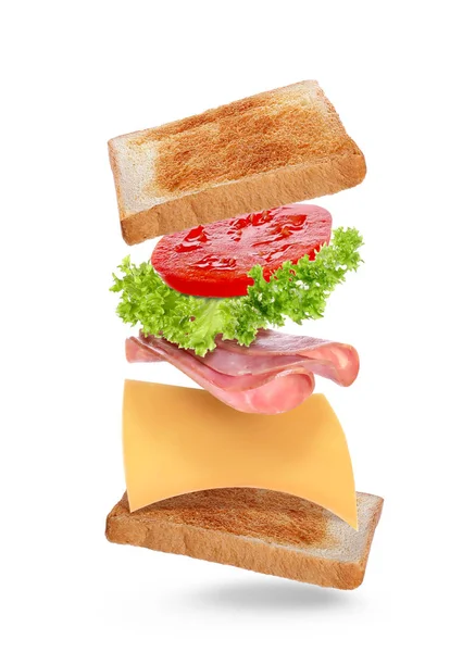 Délicieux Sandwich Avec Pain Grillé Sur Fond Blanc — Photo