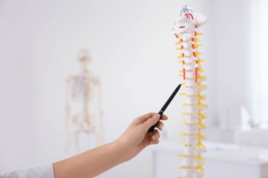 Klinikte insan omurga modelini gösteren ortopedist, yakın plan.