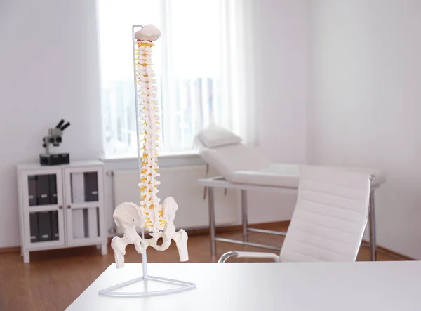 Människans Ryggrad Modell Bordet Ortoped Kontor — Stockfoto