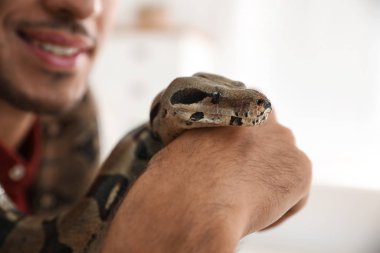 Evde boa yılanı olan bir adam, yakın plan. Egzotik hayvan