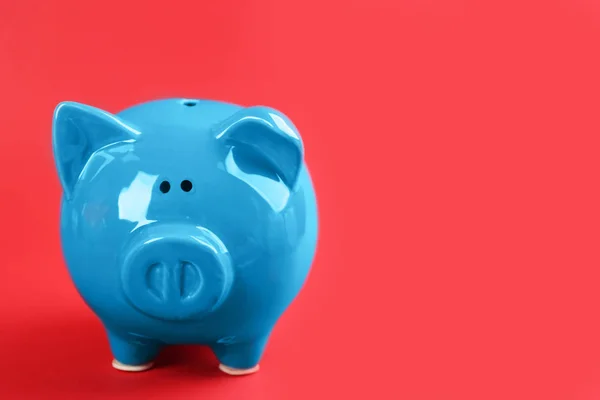 Blue piggy bank on red background. Space for text