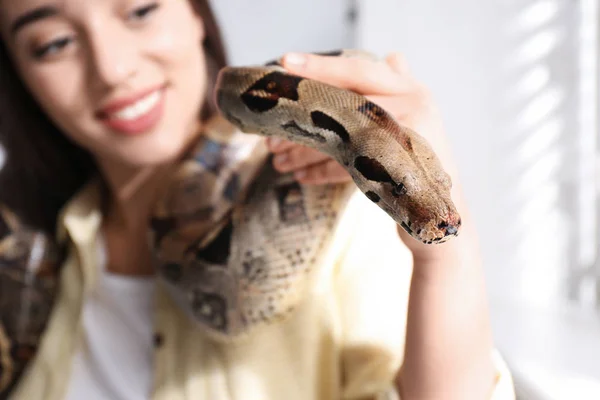 Mladá Žena Svým Boa Constrictor Doma Soustředit Ruce — Stock fotografie