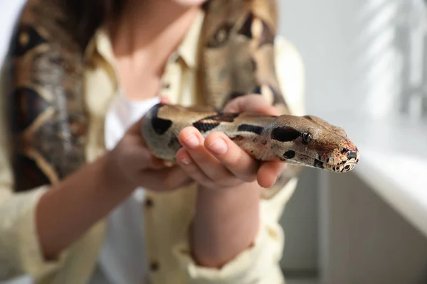 Frau Mit Ihrer Boa Constrictor Hause Nahaufnahme Exotisches Haustier — Stockfoto