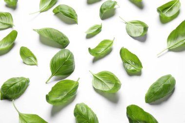 Beyaz arkaplanda taze yeşil fesleğen yaprakları