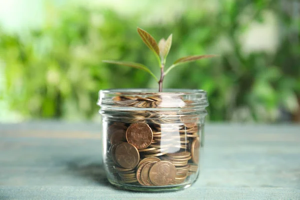 Стеклянная банка с монетами и зеленым растением на светло-голубом деревянном столе — стоковое фото